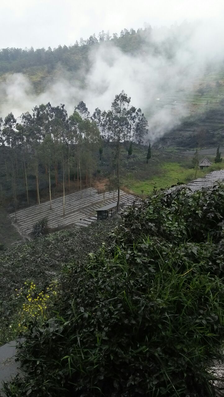 Kawah Sileri Di Gunung Dieng Meletus Freatik Kondisi Aman 