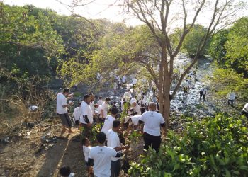 Kolaborasi Seru Broadcast Dakwah Islam dan Bali Mengaji Tanam 2000 Bibit Bakau