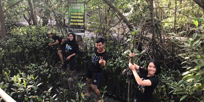 Mangrove For Earth