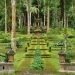 Kebun Raya Eka