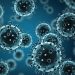 Norovirus