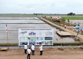Pemanfaatan Lahan Hutan
