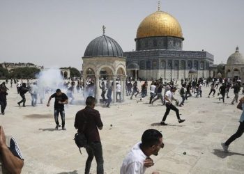 Kisah Pilu Warga Gaza Menyambut Idul Adha