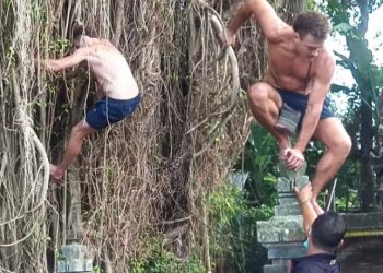 Gegara Konten TikTok Panjat Pohon Keramat, Bule Australia Dideportasi