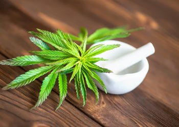 MK Minta Pemerintah Segera Kaji Ganja Medis untuk Kebutuhan Kesehatan