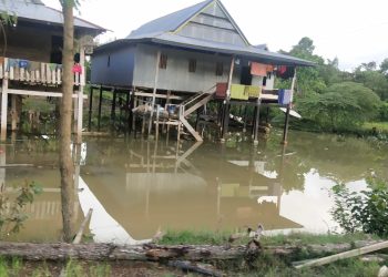 Tanggul Jebol Sebabkan Satu Desa di Konawe Terendam Banjir