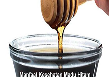 Ini Manfaat Kesehatan Madu Hitam