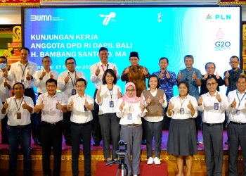 Jelang Momen Perhelatan G20, Senator H. Bambang Santoso Mengecek Ketersediaan Energi Listrik di Bali