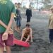 WNA Jerman Membantu Selamatkan Remaja yang Nyaris Tenggelam di Pantai Saba Gianyar