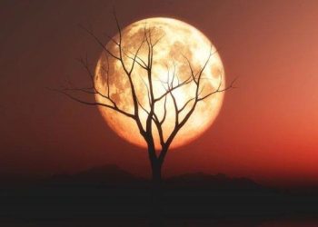 Gerhana Bulan di Bali Hari Ini Dan Waktu nya