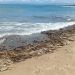 Pak Luhut dan Pak Sandi Komentari Sampah Plastik di Lautan Bali