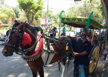 Desember Kali Ini Keliling Kota Denpasar Bali, Gratis Naik Dokar Hias