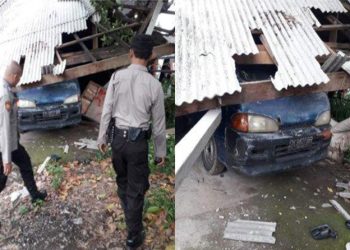 Angin Kencang Terjang Bali, Tumbangkan Pohon dan Rusak Atap Rumah