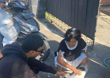 Pemkot Denpasar Gerak Cepat Vaksinasi Rabies Pada Anjing di Masyarakat