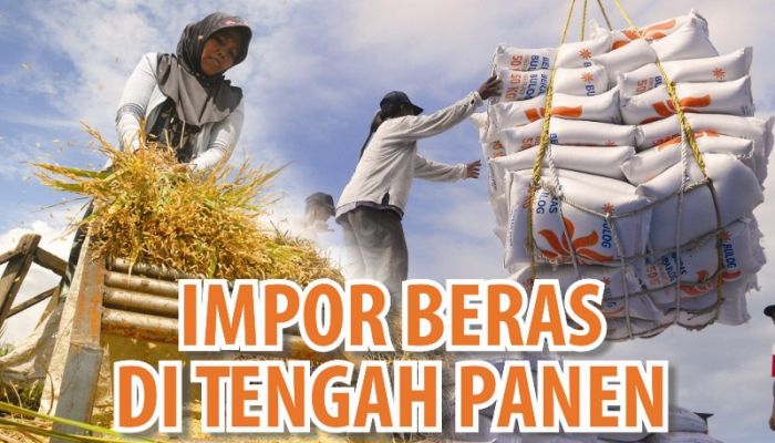 Pemerintah Siap Tambah Impor Beras 1 Juta Ton untuk Jaga Cadangan Pangan Nasional