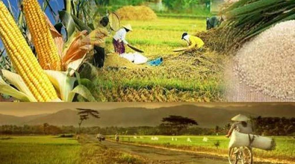 Kementan dan BUMN Pangan Sepakat Optimalkan Produksi Pertanian untuk Ketahanan Pangan dan Kesejahteraan Petani