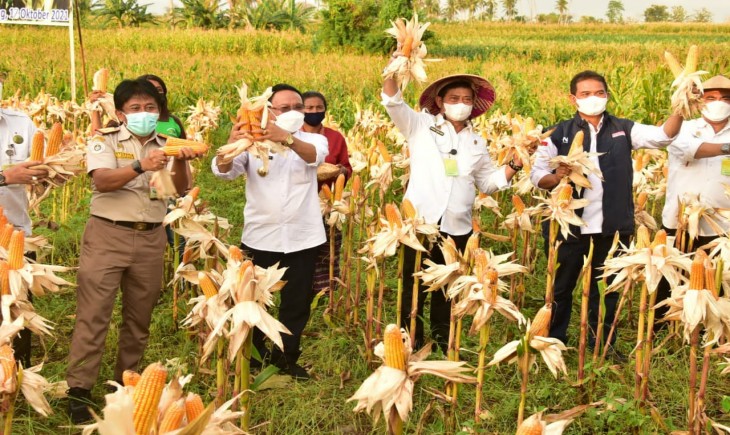 Kementan dan BUMN Pangan Sepakat Optimalkan Produksi Pertanian untuk Ketahanan Pangan dan Kesejahteraan Petani