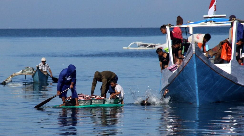 Potensi Yacht: Kunci Menggairahkan Pariwisata dan Ekonomi Maritim Indonesia