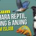 Hukum Memelihara Reptil, Burung, dan Anjing dalam Islam: Tinjauan Komprehensif